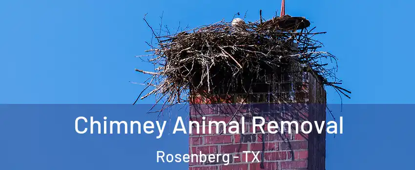  Chimney Animal Removal Rosenberg - TX