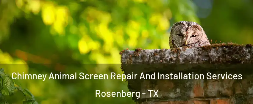  Chimney Animal Screen Repair And Installation Services Rosenberg - TX