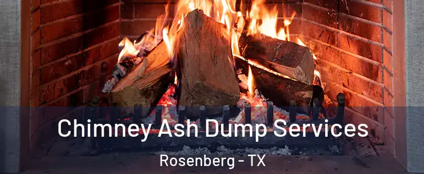  Chimney Ash Dump Services Rosenberg - TX