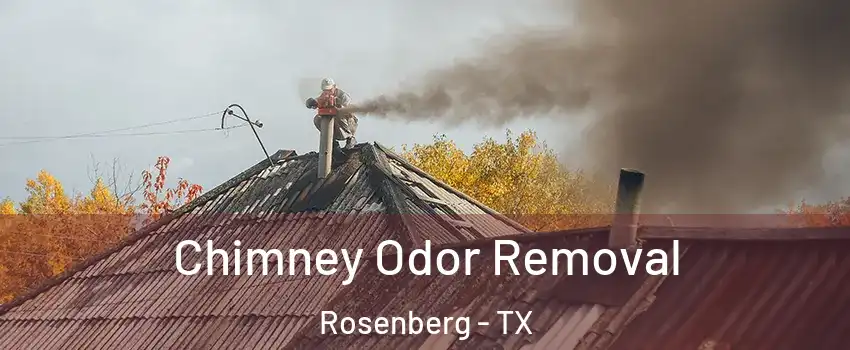  Chimney Odor Removal Rosenberg - TX