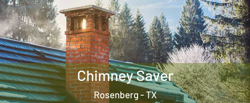  Chimney Saver Rosenberg - TX