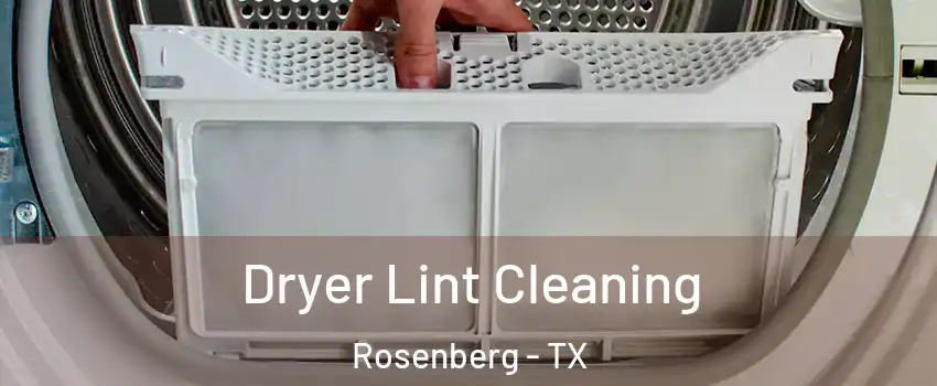  Dryer Lint Cleaning Rosenberg - TX
