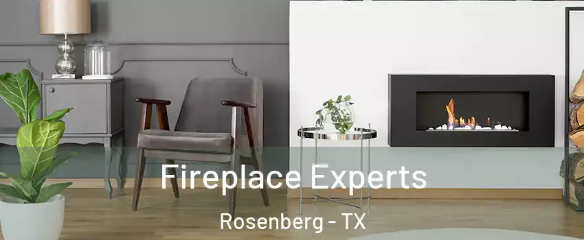  Fireplace Experts Rosenberg - TX