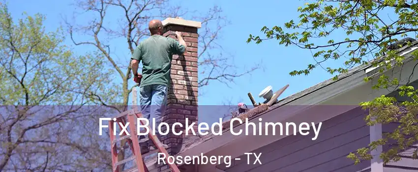  Fix Blocked Chimney Rosenberg - TX