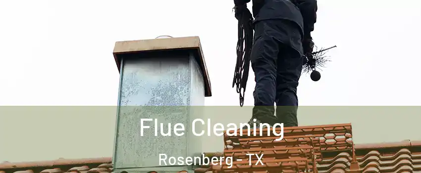  Flue Cleaning Rosenberg - TX