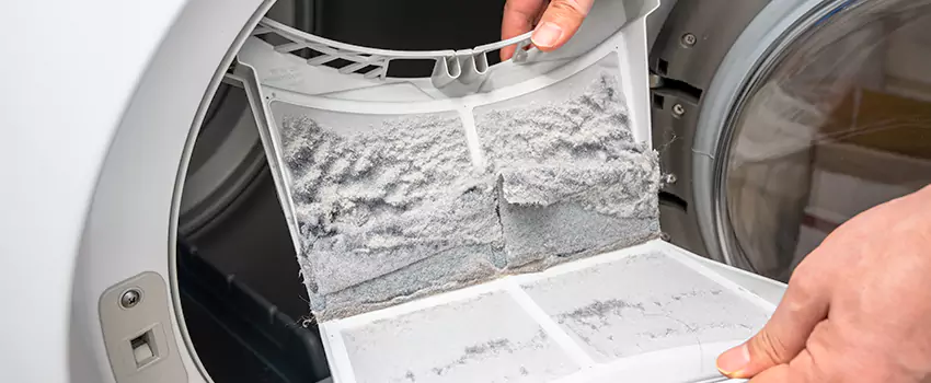 Best Dryer Lint Removal Company in Rosenberg, Texas