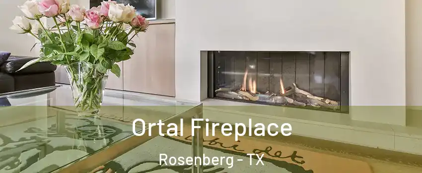  Ortal Fireplace Rosenberg - TX